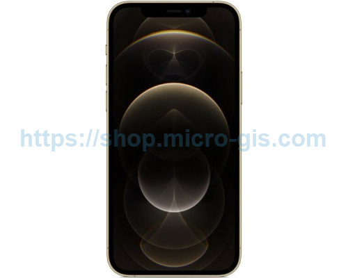 Apple iPhone 12 Pro Max 128Gb Gold (MGD93)