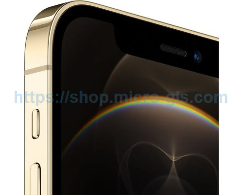 Apple iPhone 12 Pro Max 128Gb Gold (MGD93)