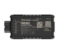 Teltonika FMB965